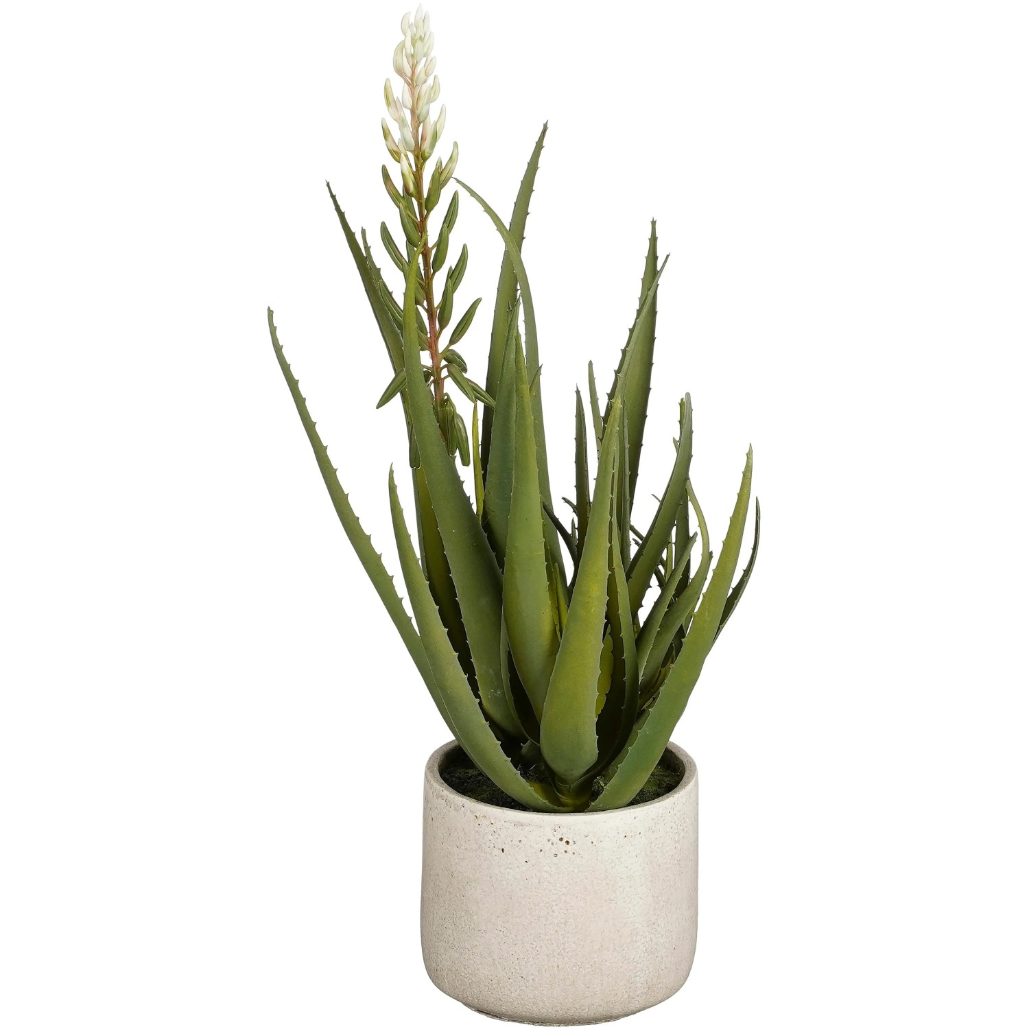 Mica Decorations Aloe Vera Grn Hhe 58 cm  38 cm kaufen bei OBI