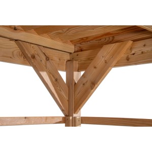 Detailansicht: Gaspo Pavillon-Unterstand Almsee aus Lärche, Holzkonstruktion.
