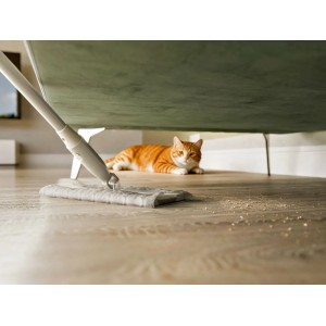 OBI Einwegtücher für Schnell-Bodenwischer: Trockene Reinigung von Staub, Fusseln, Tierhaaren unter Sofa. Katze liegt daneben.
