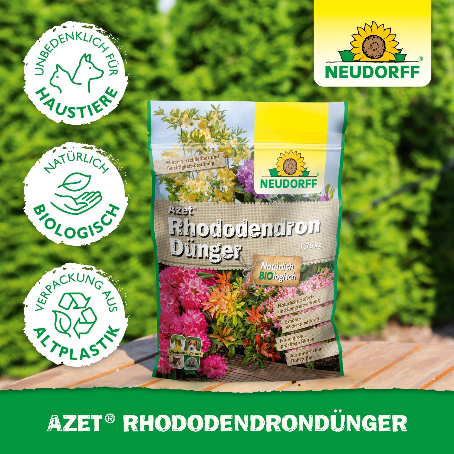 Neudorff Azet Rhododendron-Dnger 1,75 kg kaufen bei OBI