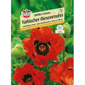 Samenpackung Türkischer Riesenmohn 'Orient Orange' von Sperli mit leuchtend orangen Blüten.