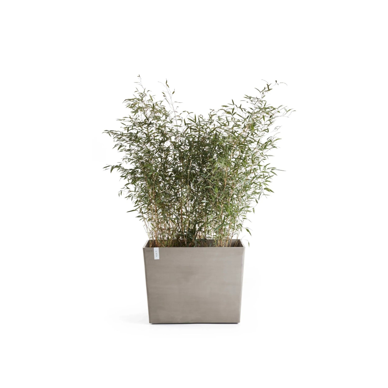 Ecopots Pflanztopf Paris Rollen Braungrau 85 cm x 40 cm x 65 cm_2
