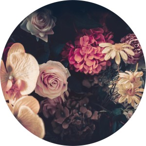 Glasbild Baroque Flowers II, 20x20 cm, mit Rosen, Hortensien und Orchideen in dunklem Vintage-Look.