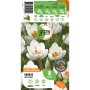 Verpackung mit 8 weißen Krokus Ard Schenk Blumenzwiebeln von GROW by OBI.
