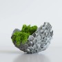 Schale aus Ultrament Knet Beton mit grüner Pflanze, hellgrau. Ideal zum Basteln und Modellieren.