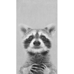 Pro Art Dekopanel: Schwarz-weiß Bild von einem jungen Waschbären, 30x15cm.