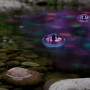 LED-Solar-Teichleuchte mit Flash-Effekt im Gartenteich, sorgt für farbige Lichtakzente.