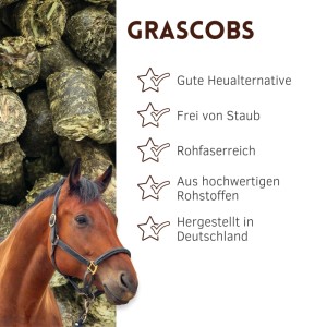 Braunes Pferd mit Zaumzeug und Supravit Grascobs Heupellets. Vorteile: Heualternative, staubfrei, rohfaserreich.