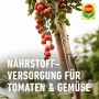 Compo Bio Tomaten- und Gemüse Düngestäbchen 20 Stäbchen_3