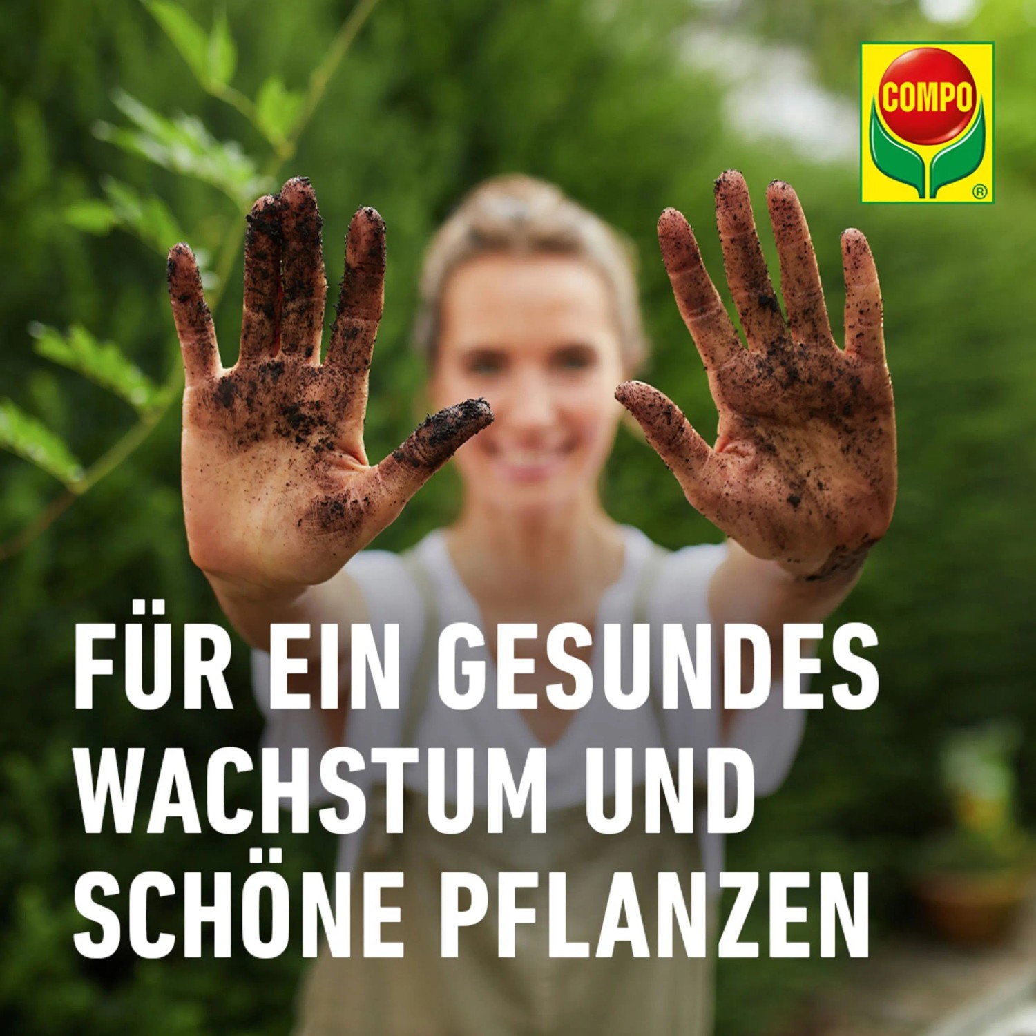 Compo Bio Anzucht- und Kräutererde Torffrei 5 l_4