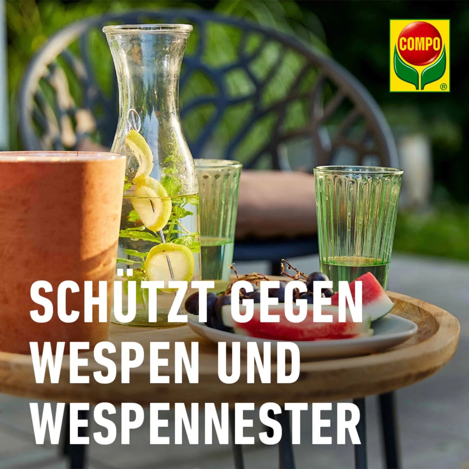Compo Wespen Power Spray 500 ml mit Sofort- & Langzeitwirkung kaufen bei OBI