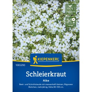 Kiepenkerl Schleierkraut 'Alba' Saatgut mit filigranen, weißen Blüten für Beet und Vase.