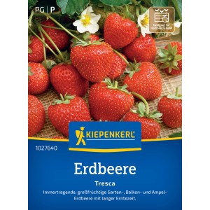 Kiepenkerl Erdbeeren Fresca