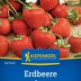 Kiepenkerl Erdbeeren Fresca: Samen für immertragende, rote Erdbeeren.