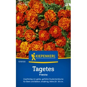 Kiepenkerl Studentenblume Fiesta Orangerot: Gefüllte, orange-rote Tagetes für Beet und Balkon.