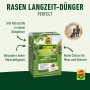 Compo Rasen Langzeit-Dünger Perfect 6 kg_5