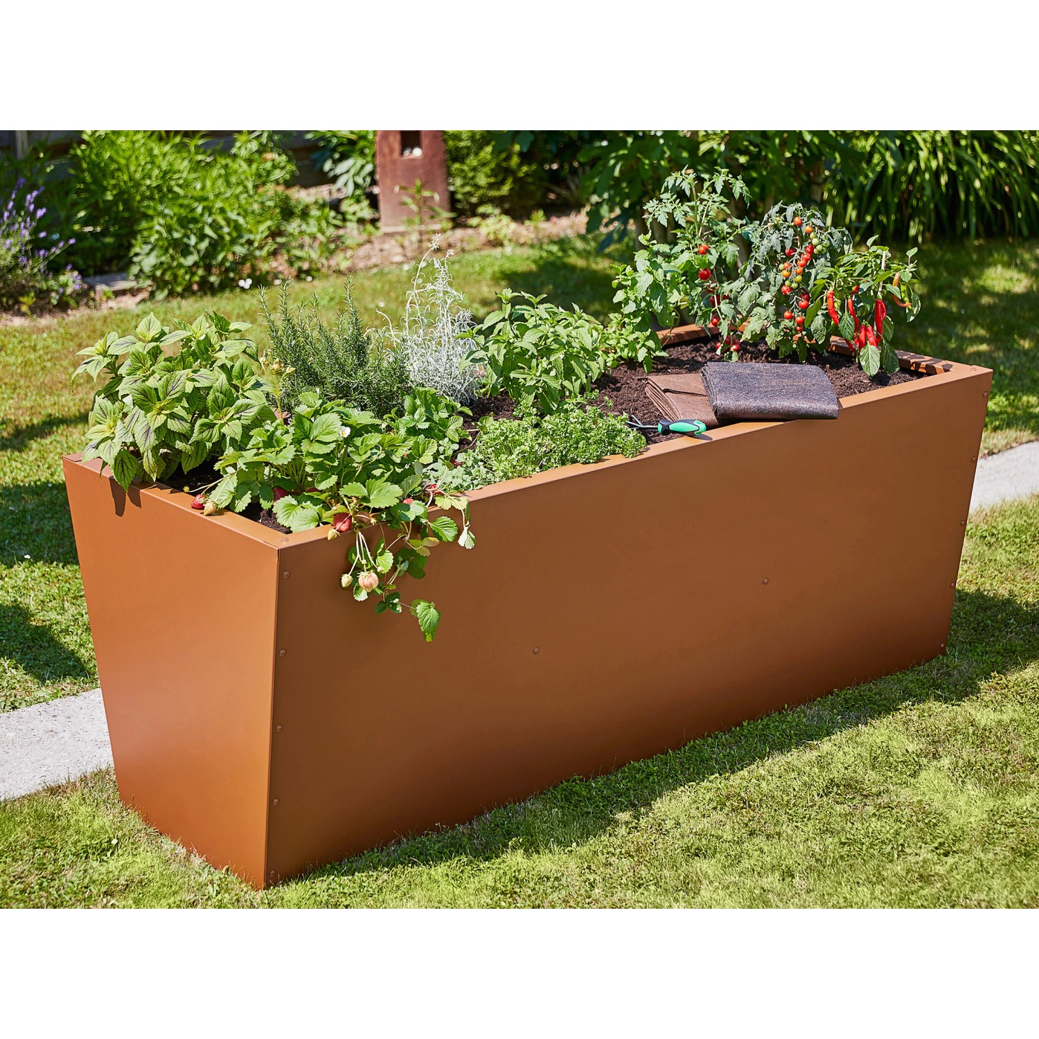 Gutta Hochbeet Valenta 200 in Rostoptik, bepflanzt mit Gemüse und Kräutern im Garten.