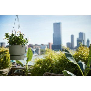 Laubgrüne Elho Hängeampel Greenville (Ø 24cm) mit weißen Blüten vor Stadtkulisse.