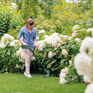 Frau trimmt Rasen mit dem Bosch Akku-Rasentrimmer EasyGrassCut 18V-26 Solo im Garten.