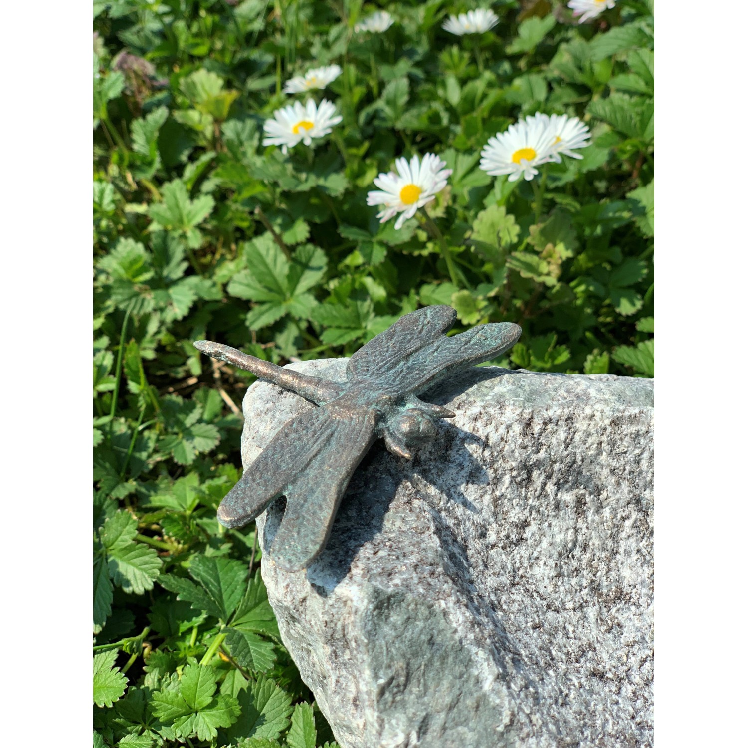 Insektentränke aus Granit mit Libelle, 20x30cm, für Insekten und als Gartendeko.