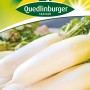 Samenpackung Quedlinburger Rettich 'Minowase Summer Cross Nr. 3' mit weißen Rettichen.