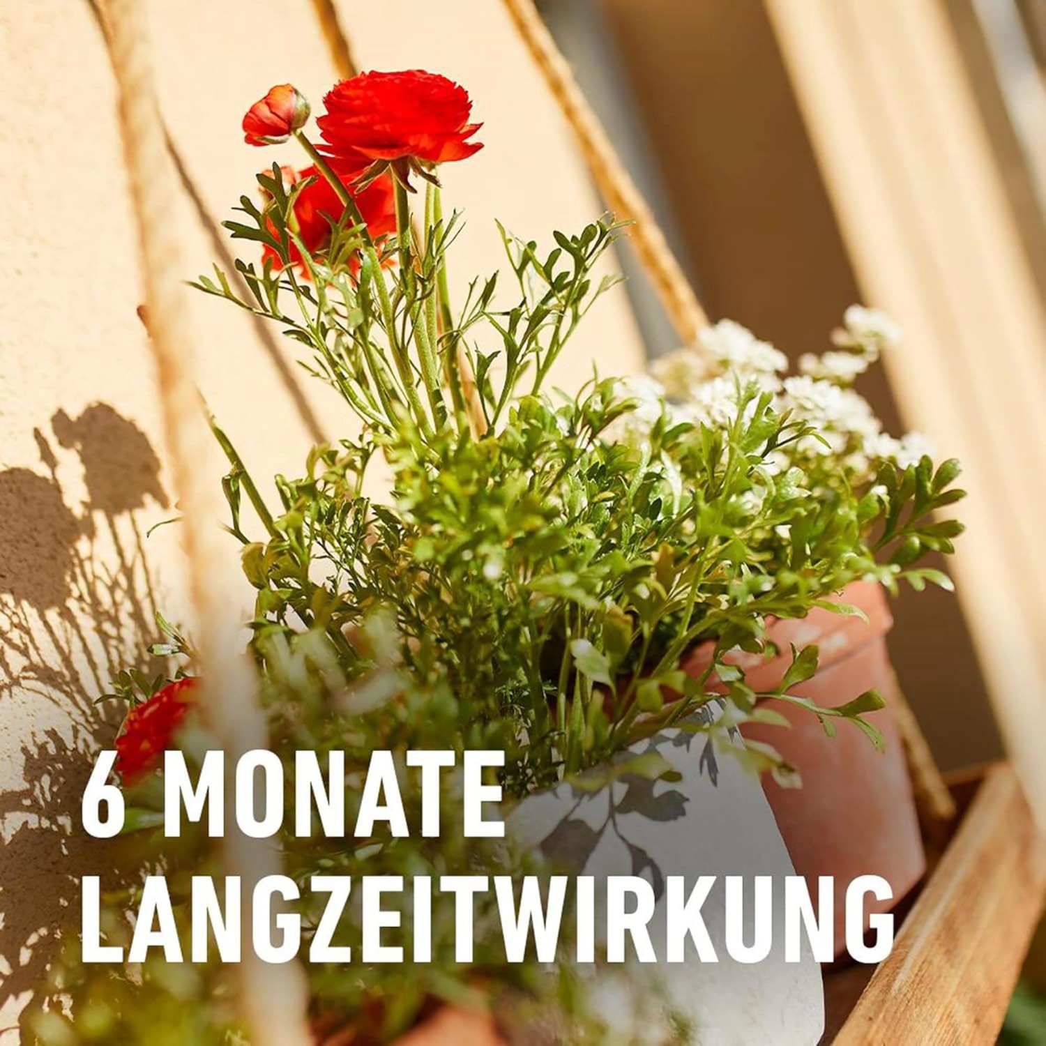 Compo Balkon- und Kübelpflanzendünger 1,2 kg_6