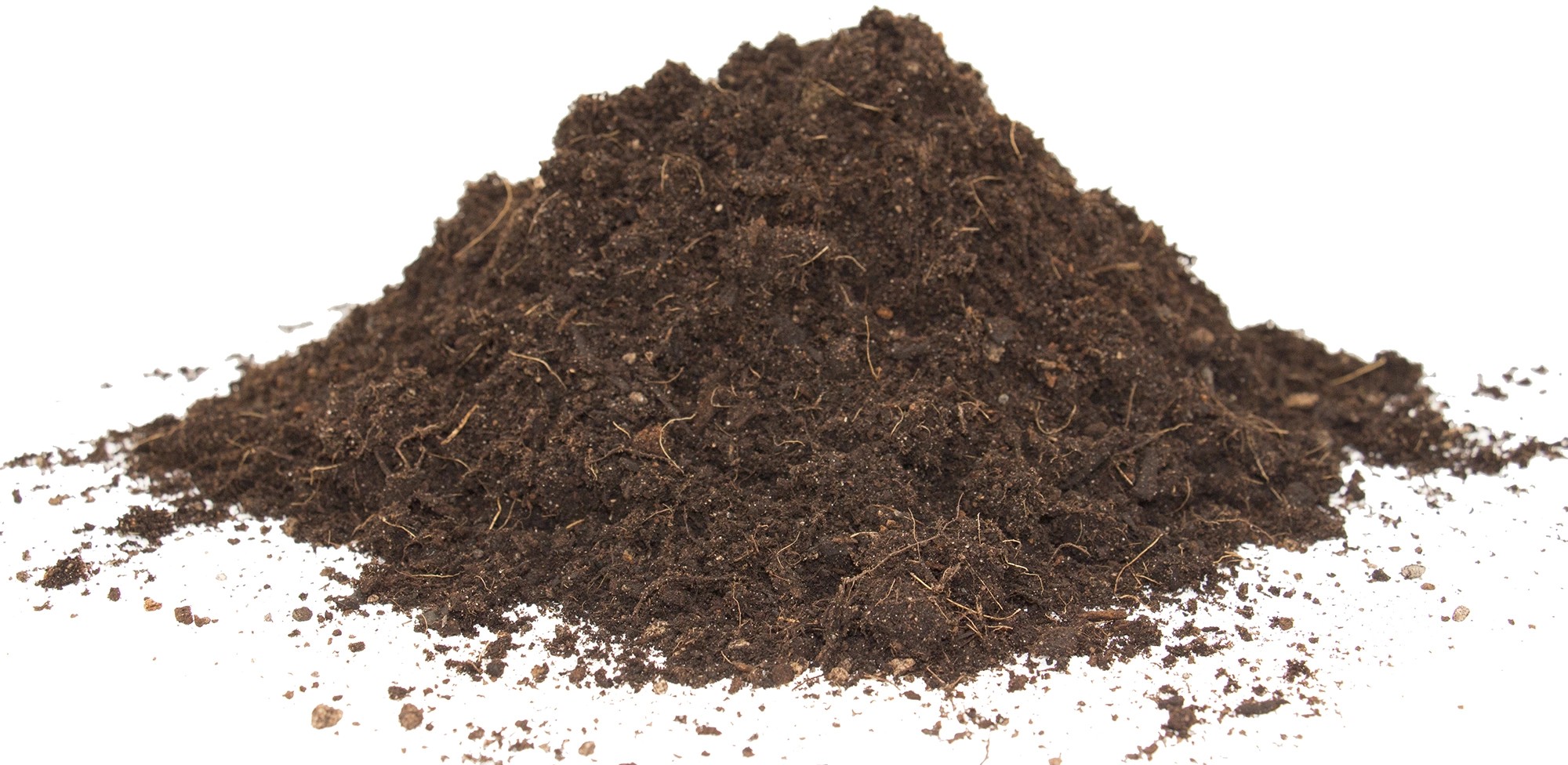 Floragard Bio Rhodohum Rhododendronerde ohne Torf 2 x 40 l kaufen bei OBI