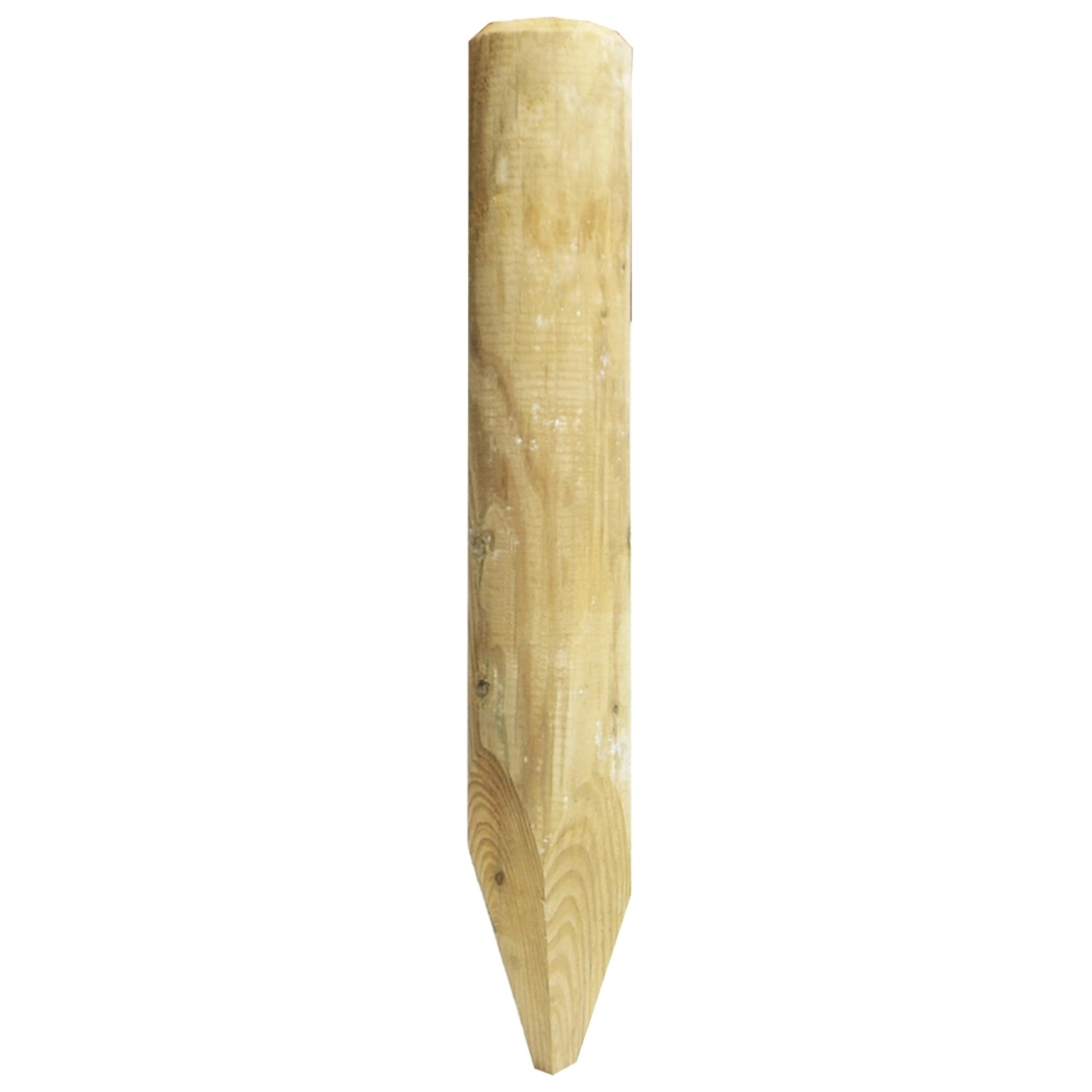 Palisaden Holz kaufen bei OBI