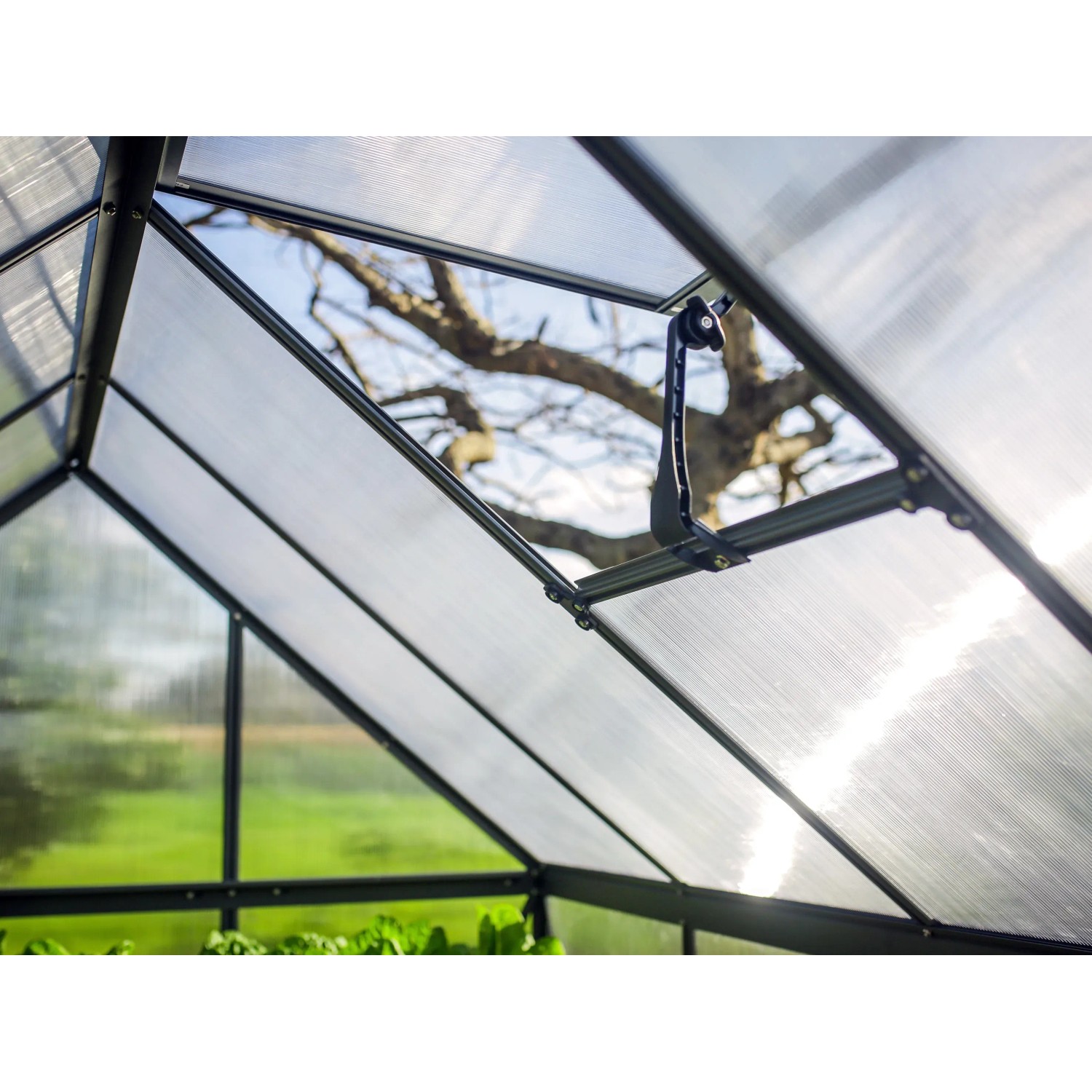Detailaufnahme: Palram Canopia Gewächshaus, grauer Rahmen, Polycarbonatplatten, Dachfenster mit Öffnungsmechanismus.