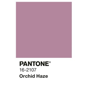 Alpina Innenfarbe Pantone Orchid Haze. Pastellviolette Wandfarbe als Farbmuster mit Pantone-Code 16-2107.