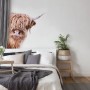 Fototapete mit Kuhmotiv im Vintage-Stil, Highland Cattle, 4,00 m x 2,70 m, FSC®-zertifiziert.