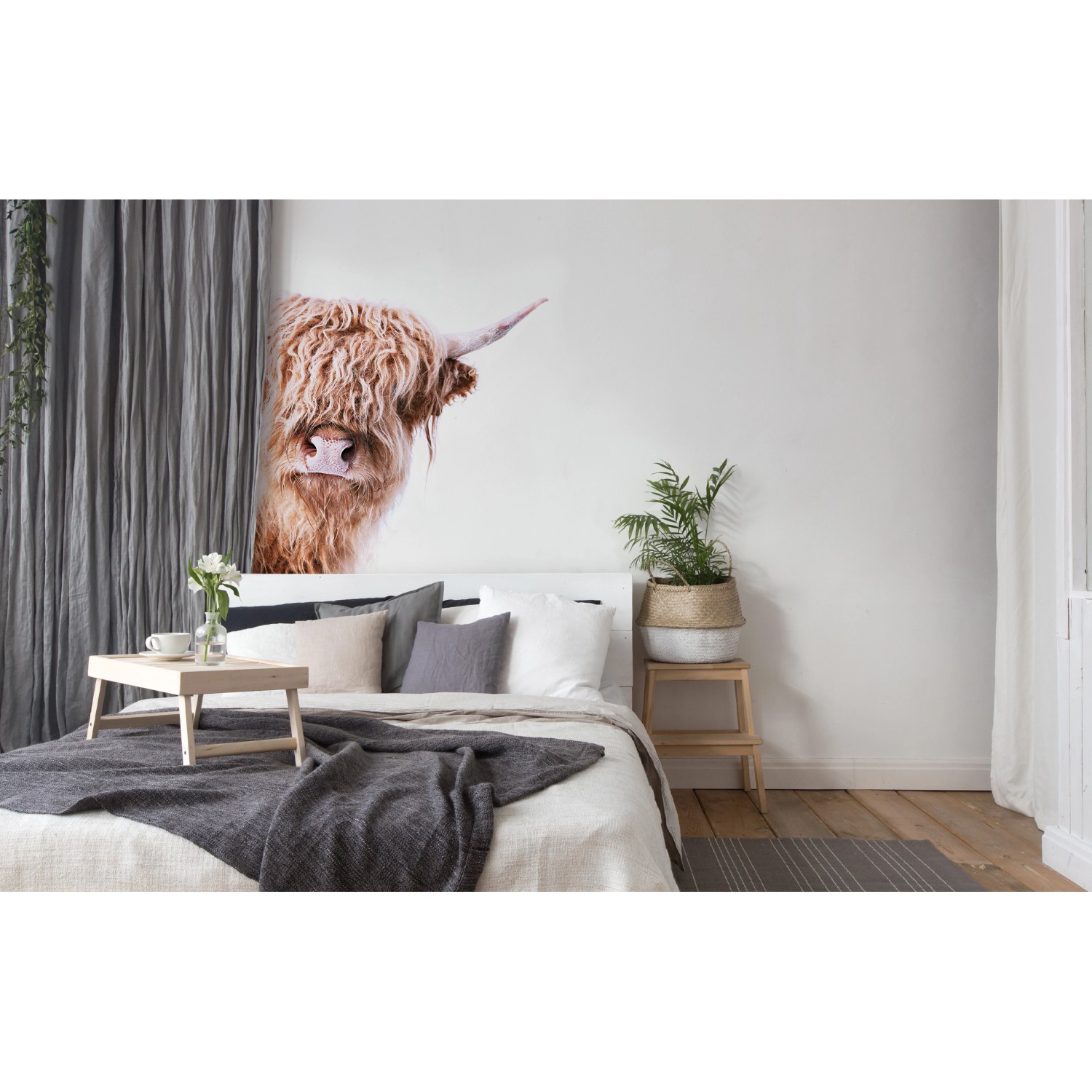 Fototapete mit Kuhmotiv im Vintage-Stil, Highland Cattle, 4,00 m x 2,70 m, FSC®-zertifiziert.