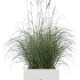 Weißer Elho Vivo Next Pflanztopf 40 cm mit Rollen, bepflanzt mit Ziergras.
