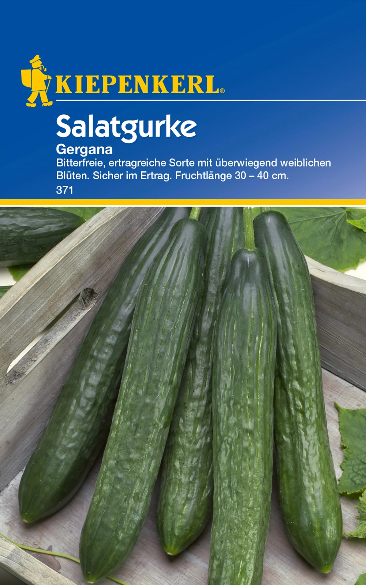 Kiepenkerl Salatgurke &amp;quot;Gergana&amp;quot; kaufen bei OBI