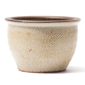 Cremefarbener Kirschke Pflanztopf Viper, Ø 38 cm, mit Schlangenmuster für den Garten.