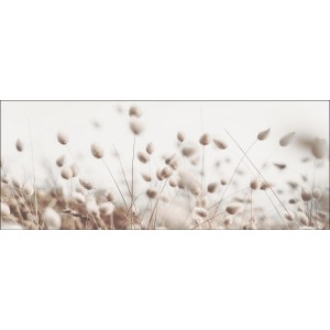 Pro Art Glasbild Field Flowers V 125 cm x 50 cm