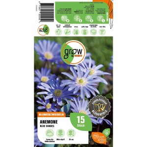 Verpackung GROW by OBI Anemonen blanda Blue Shades, blaue Frühlingsblüher, 15 Stück.