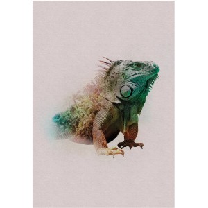 Wandbild Animals Iguana, 50x70 cm, mit detailreicher Darstellung eines Leguans.
