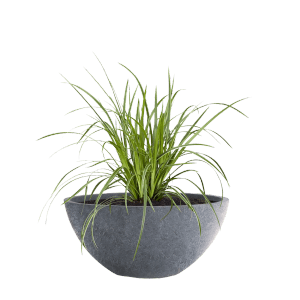 Pflanzwerk Pflanzschale Bowl Premium Frostbeständig Lava 55 cm Dunkelgrau