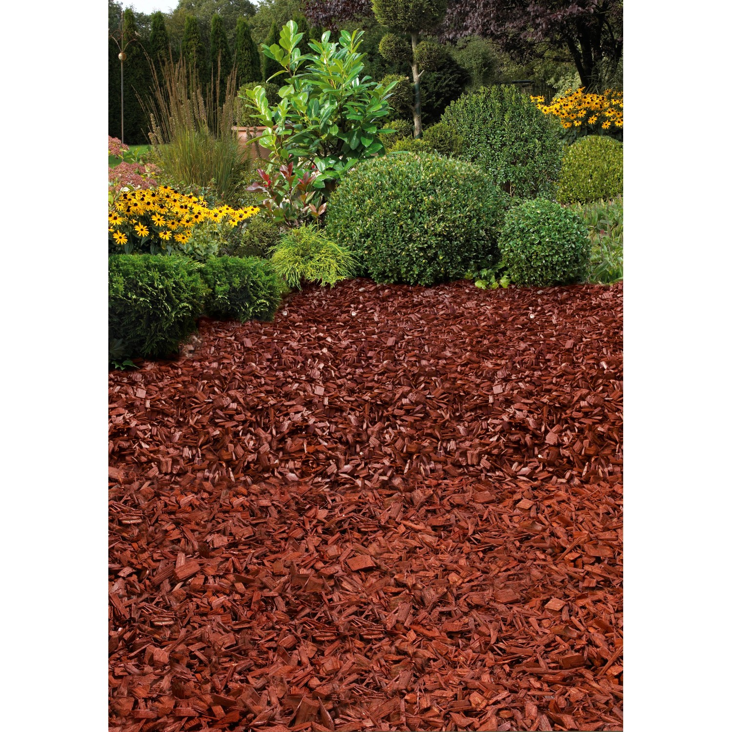 OBI Gartendekor Pinie 2.295 l (51 x 45 l) 1 Palette kaufen bei OBI