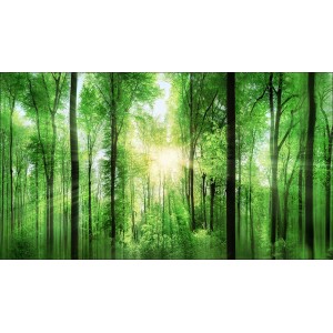 Giclèe Forest Feeling 160 cm x 90 cm