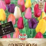 Sperli Tulpen Landhaus Mix, verschiedene Farben wie rosa, gelb, lila und orange.