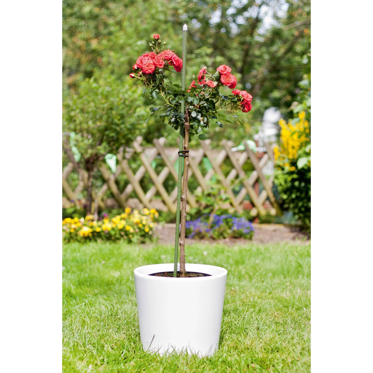 Pflanzstab 150 cm x  1,1 cm Dunkelgrn kaufen bei OBI