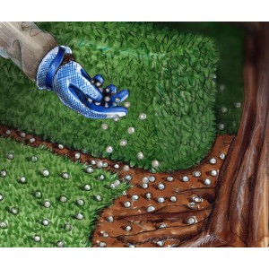 Anwendung von OBI Eisendünger auf Rasen und Hecke. Hand mit Dünger über Grünfläche.