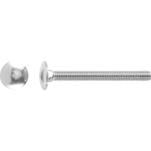 Schlossschraube M6 x 30 mm, Edelstahl A2, mit rundem Kopf und Gewinde.