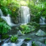 Leinwandbild Forest & Waterfall (77x57cm): Waldlandschaft mit Wasserfall und grüner Vegetation.