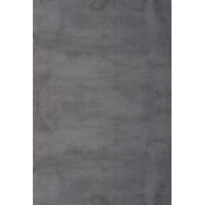 Teppich Cha Cha 535 Grau 80 cm x 150 cm