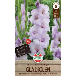 Sperli Gladiolen Blue Tropic: Fliederfarbene Gladiolen als Blumenzwiebeln für den Garten.