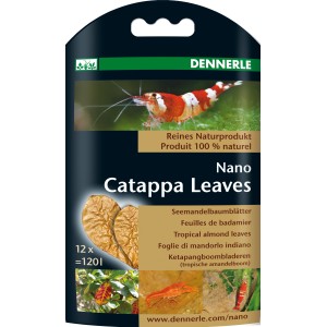 Nano Catappa Leaves Seemandelbaumblätter für Aquarien, 12 Stück.