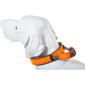 Orangefarbenes ArmoredTech Hundehalsband Dog Control XL mit integrierter Kurzleine.